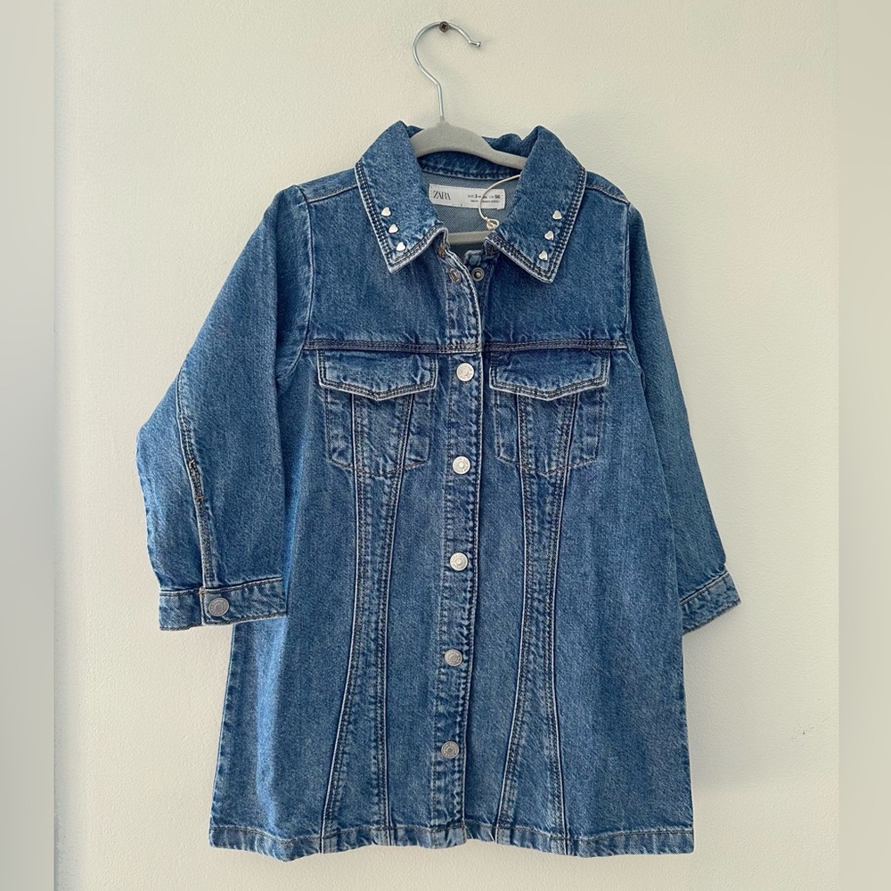 Zara Girls 3T Denim Button-Up Dress